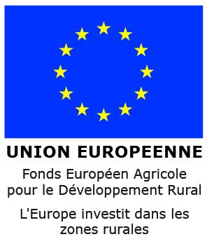 Logo feader ue invest zones rurale