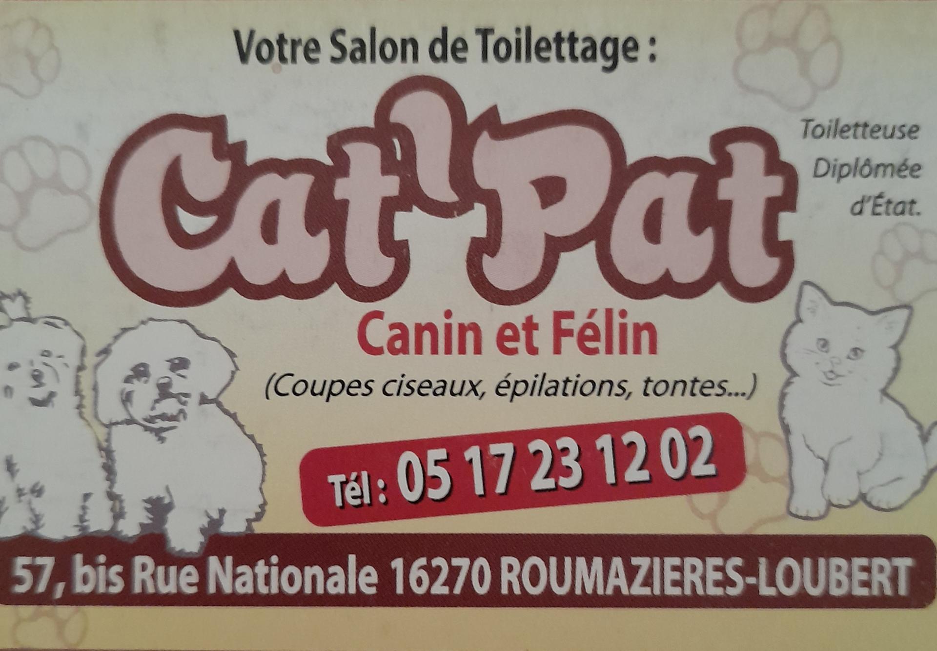 Cat pat