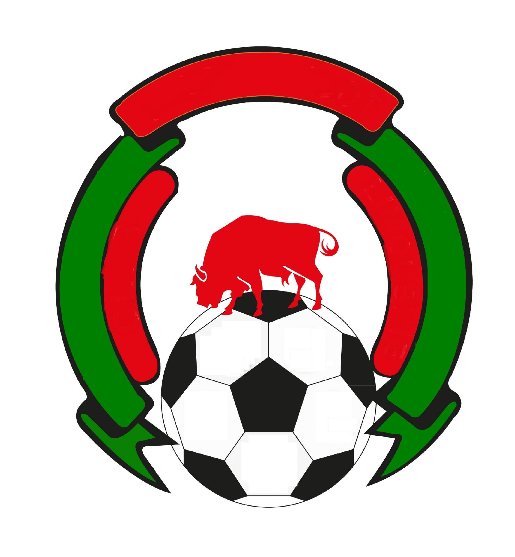 Football club charente limousine