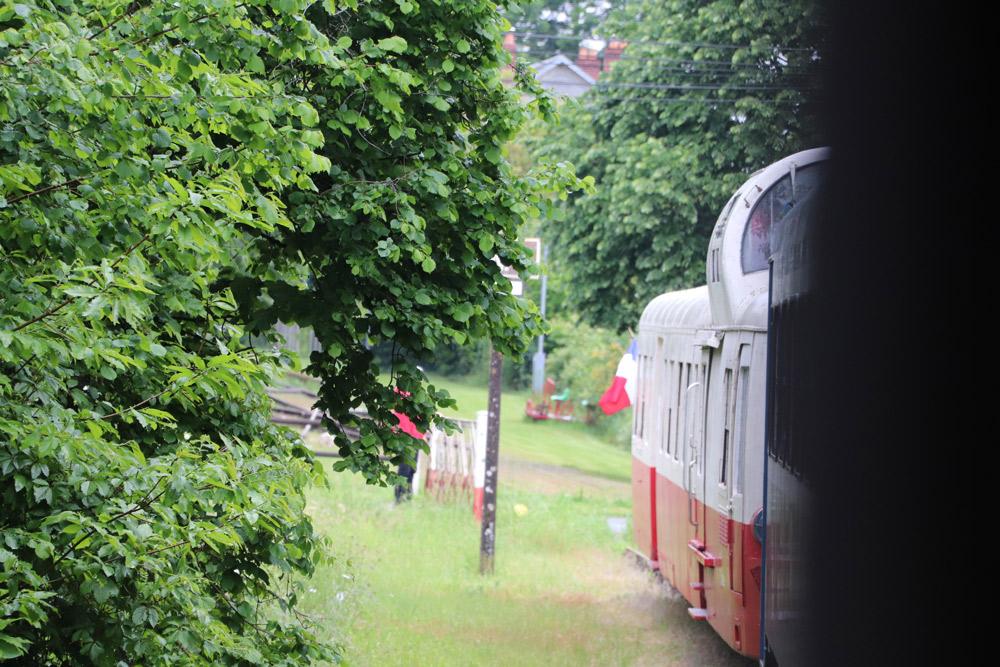 Img 6949 web