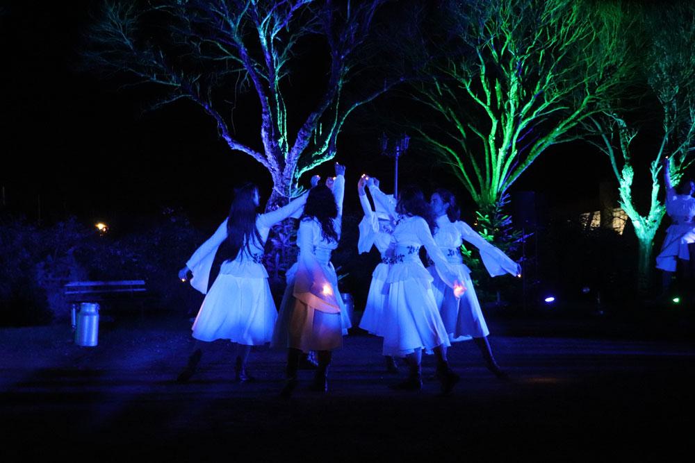 Img 9247web