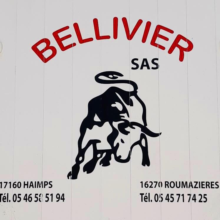 Logo bellivier sasjpg
