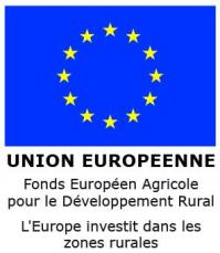 Logo feader ue invest zones rurale