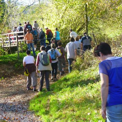 ACTIVITÉS DE LOISIRS